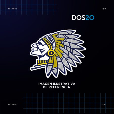 Escudo_relieve_INDIO